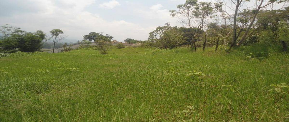 Foto de terreno habitacional en venta en  , la orduña, coatepec, veracruz de ignacio de la llave, 6697624 No. 04