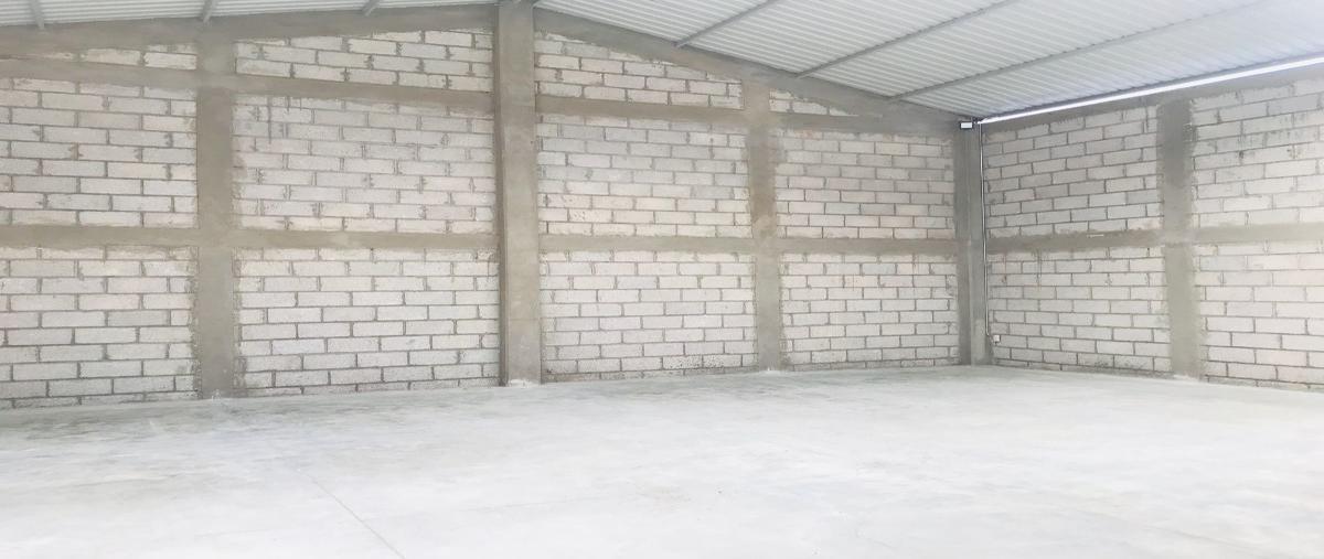 Foto de bodega en renta en la palma , la palma, pachuca de soto, hidalgo, 17548899 No. 04