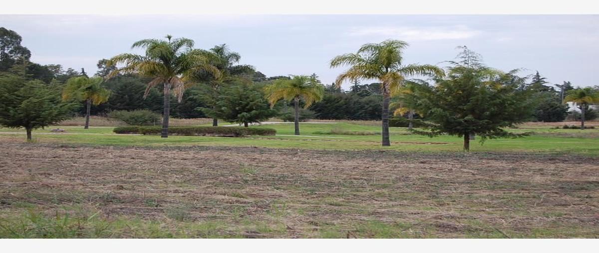 Foto de terreno habitacional en venta en la palma , san gil, san juan del río, querétaro, 0 No. 03