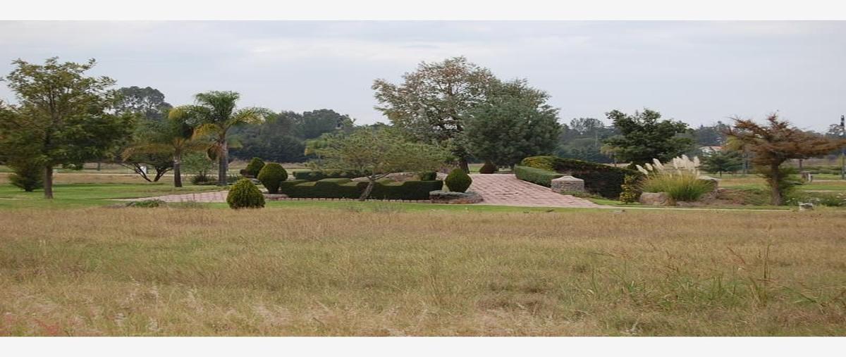 Foto de terreno habitacional en venta en la palma , san gil, san juan del río, querétaro, 0 No. 04