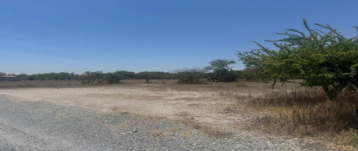 Foto de terreno habitacional en venta en  , la palma, san miguel de allende, guanajuato, 0 No. 03