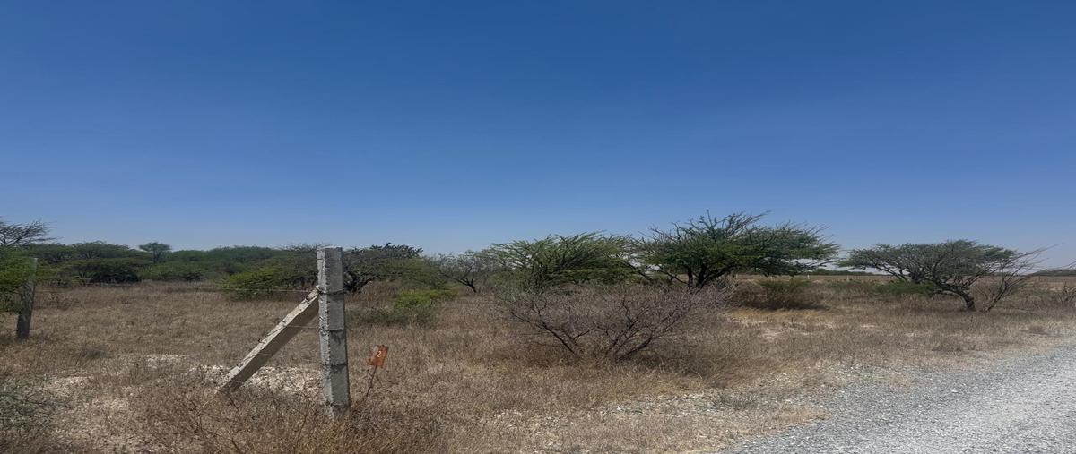 Foto de terreno habitacional en venta en  , la palma, san miguel de allende, guanajuato, 0 No. 04