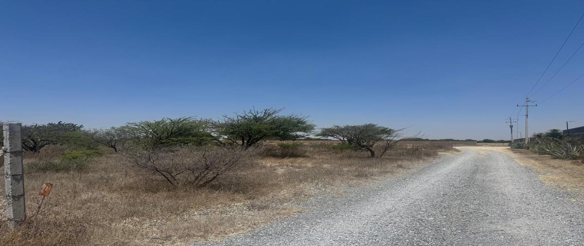 Foto de terreno habitacional en venta en  , la palma, san miguel de allende, guanajuato, 0 No. 05