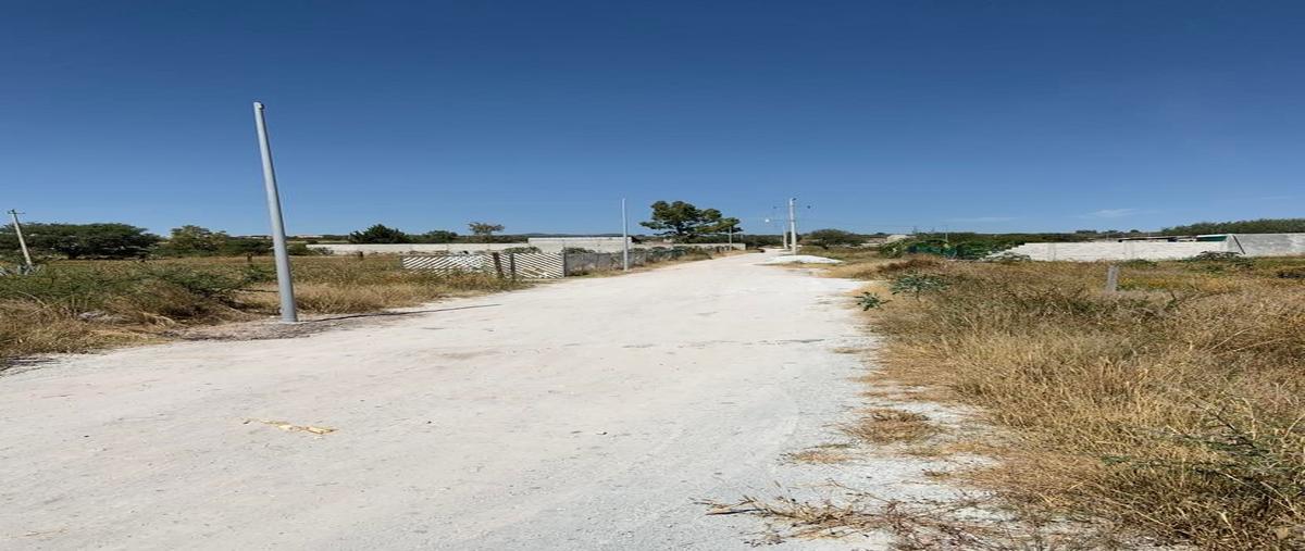 Foto de terreno habitacional en venta en la palma whi276693, la versolilla, querétaro, querétaro, 24653242 No. 04