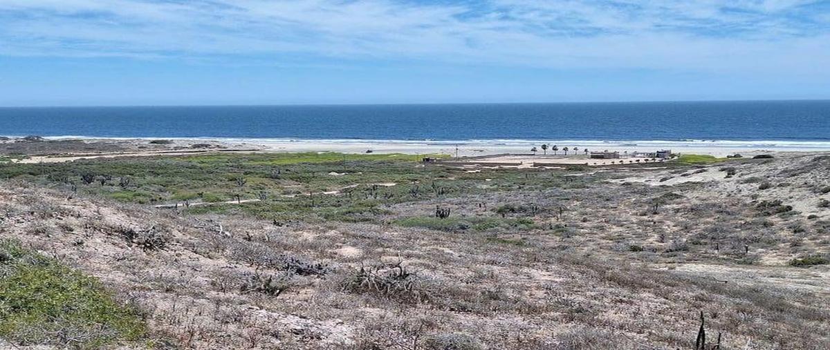 Foto de terreno comercial en , la palmilla, los cabos, baja california sur, 0 foto 05 Foto de terreno comercial en venta en , la palmilla, los cabos, baja california sur, 0 No. 05