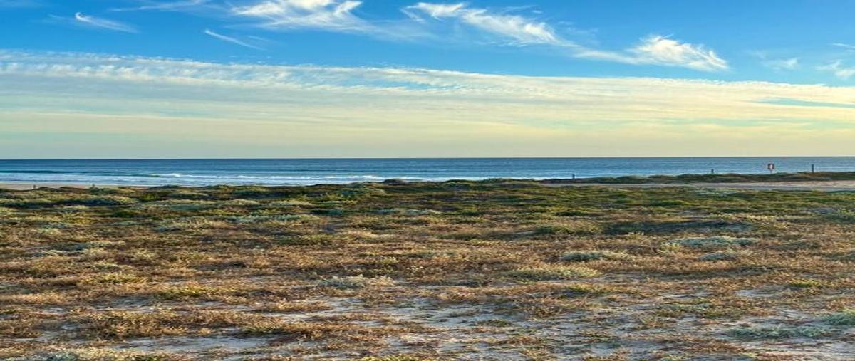Foto de terreno comercial en venta en  , la palmilla, los cabos, baja california sur, 0 No. 10