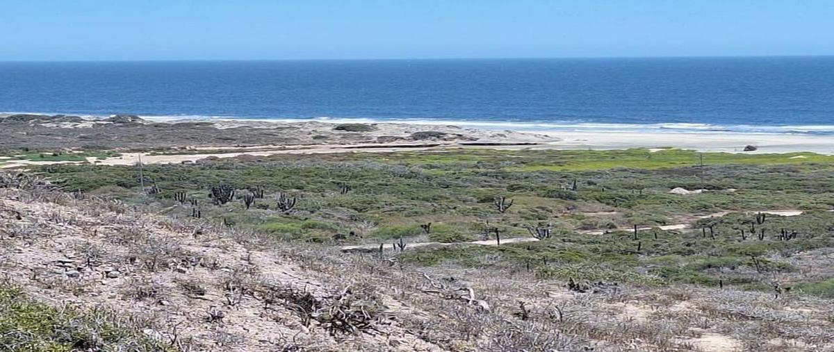 Foto de terreno comercial en venta en  , la palmilla, los cabos, baja california sur, 0 No. 04