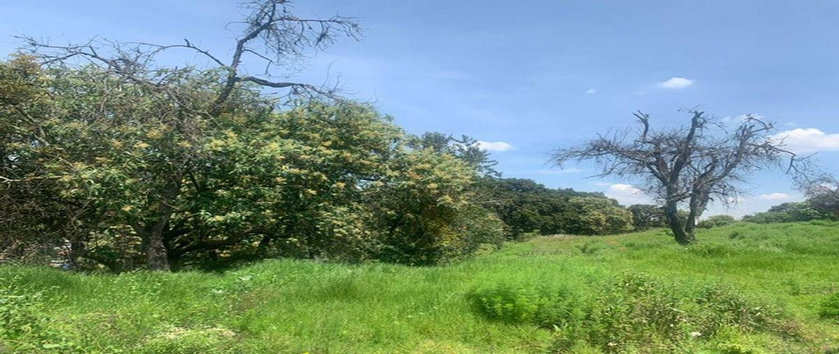 Foto de terreno comercial en venta en  , la palmita, álvaro obregón, df / cdmx, 0 No. 04