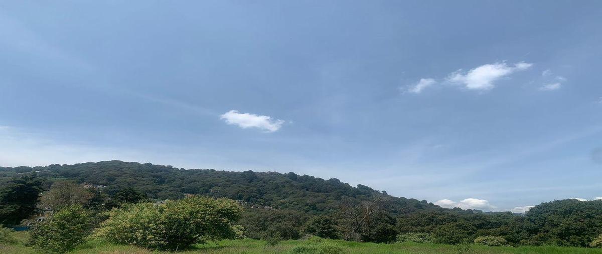 Foto de terreno comercial en venta en  , la palmita, álvaro obregón, df / cdmx, 0 No. 05