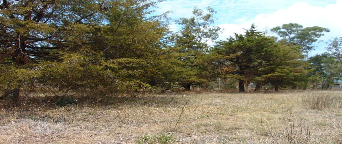 Foto de terreno habitacional en venta en  , la palmita (la trampa), morelia, michoacán de ocampo, 27683395 No. 03