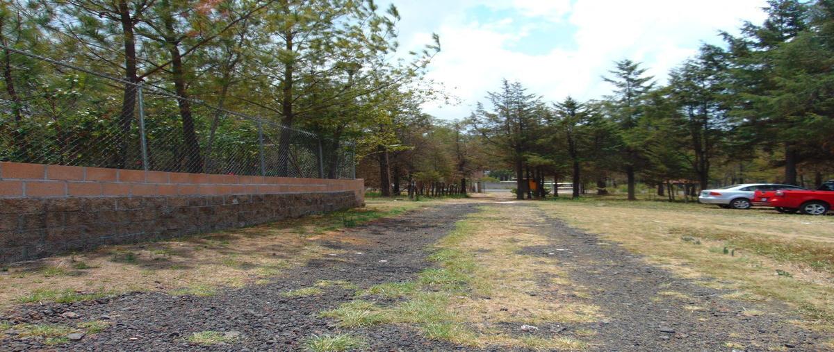 Foto de terreno habitacional en venta en  , la palmita (la trampa), morelia, michoacán de ocampo, 27683395 No. 04