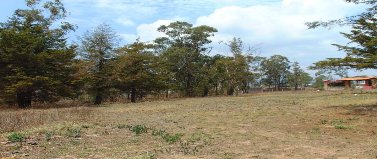 Foto de terreno habitacional en venta en  , la palmita (la trampa), morelia, michoacán de ocampo, 27683395 No. 05