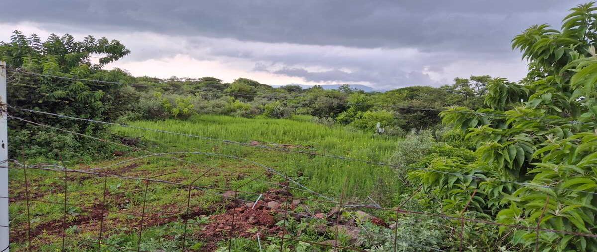 Foto de terreno habitacional en venta en  , la palmita, san miguel de allende, guanajuato, 0 No. 05