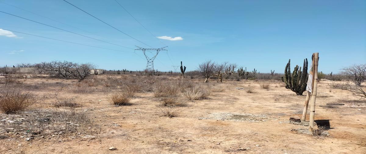 Foto de terreno habitacional en venta en la pasion calle whi298261, la pasión c, la paz, baja california sur, 26680511 No. 03
