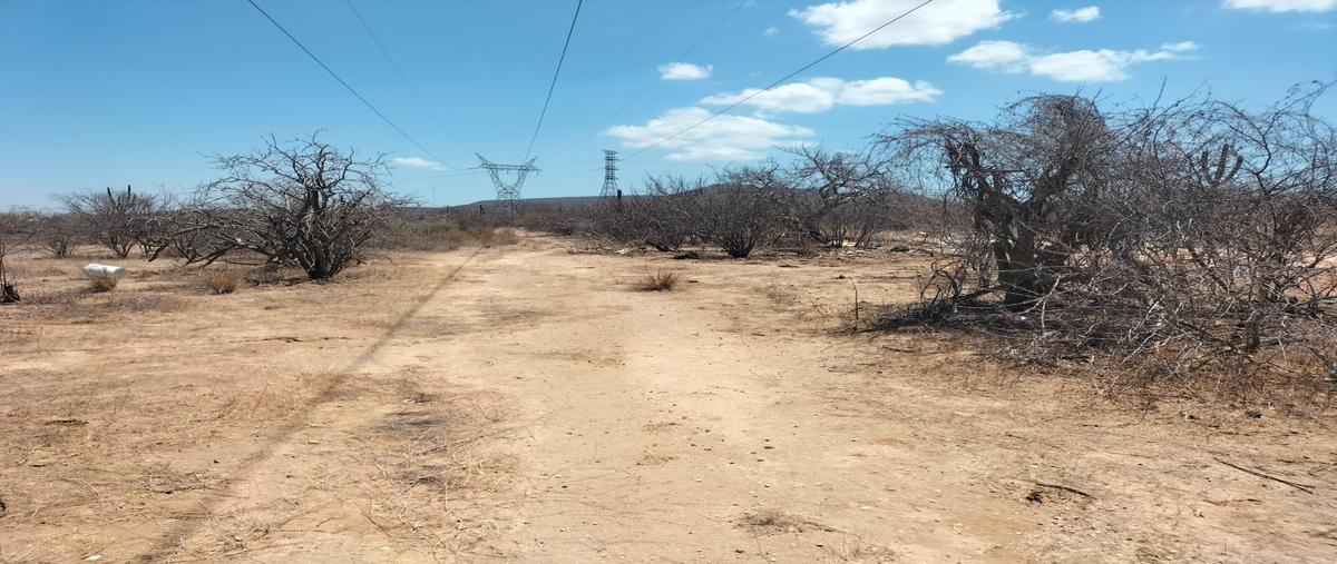 Foto de terreno habitacional en venta en la pasion calle whi298261, la pasión c, la paz, baja california sur, 26680511 No. 04