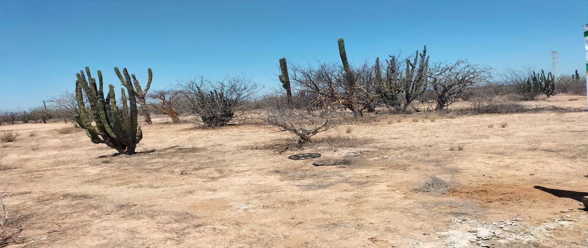 Foto de terreno habitacional en venta en la pasion calle whi298261, la pasión c, la paz, baja california sur, 26680511 No. 05