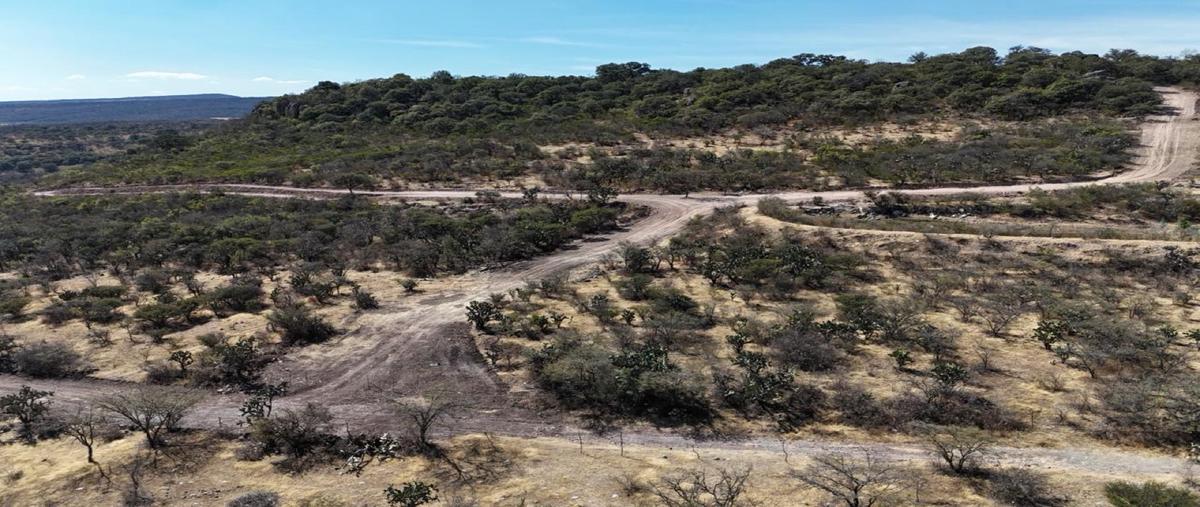 Foto de terreno habitacional en venta en  , la patiña, león, guanajuato, 0 No. 03
