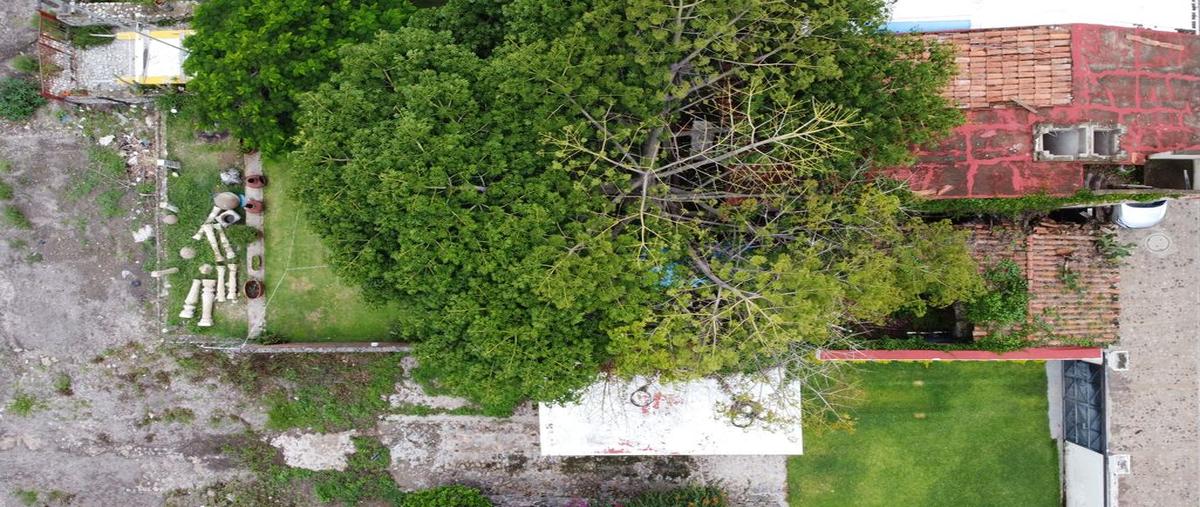 Foto de terreno habitacional en venta en la paz 281, san juan cosala, jocotepec, jalisco, 0 No. 05