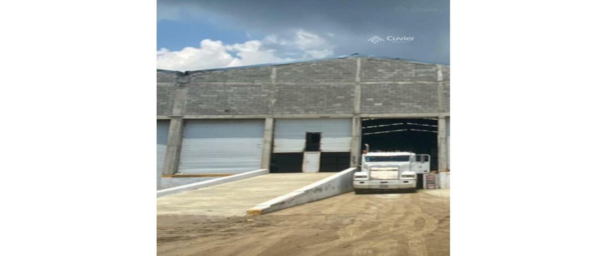 Foto de bodega en renta en  , la pedrera, altamira, tamaulipas, 18120787 No. 05
