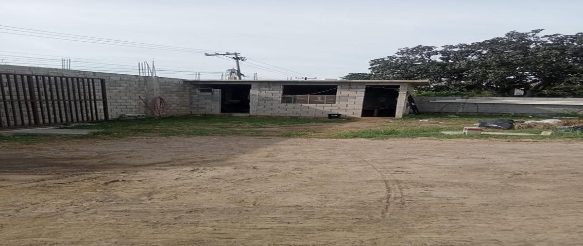 Foto de bodega en renta en  , la pedrera, altamira, tamaulipas, 0 No. 03