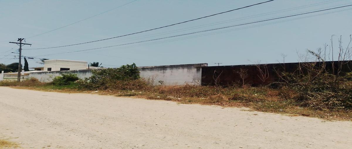 Foto de terreno habitacional en venta en  , la pedrera, altamira, tamaulipas, 0 No. 03