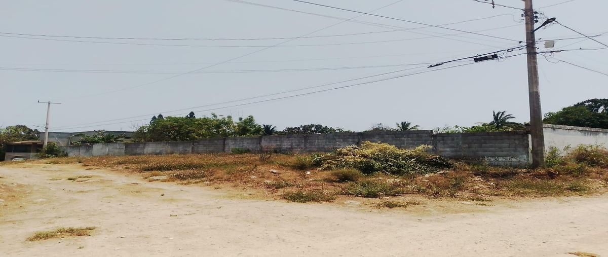 Foto de terreno habitacional en venta en  , la pedrera, altamira, tamaulipas, 0 No. 05