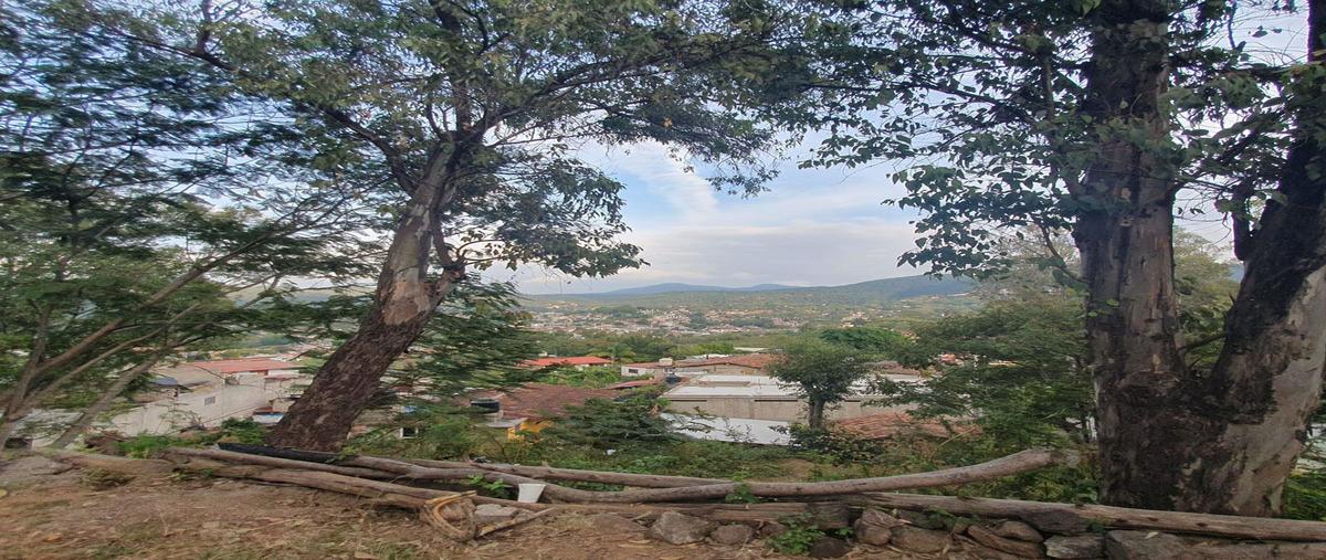 Foto de terreno habitacional en venta en  , la peña, valle de bravo, méxico, 27499180 No. 03