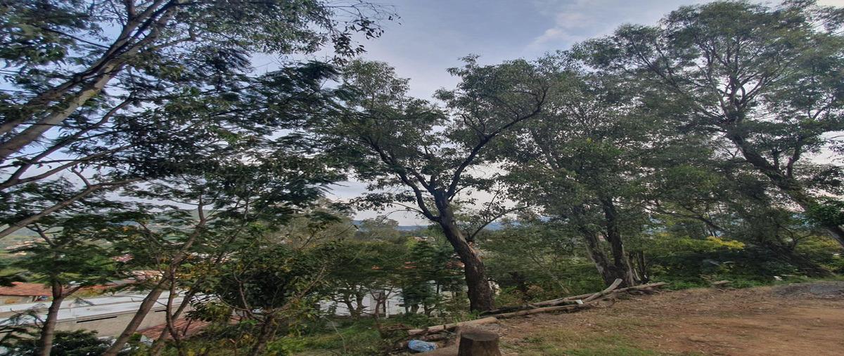 Foto de terreno habitacional en venta en  , la peña, valle de bravo, méxico, 27499180 No. 04