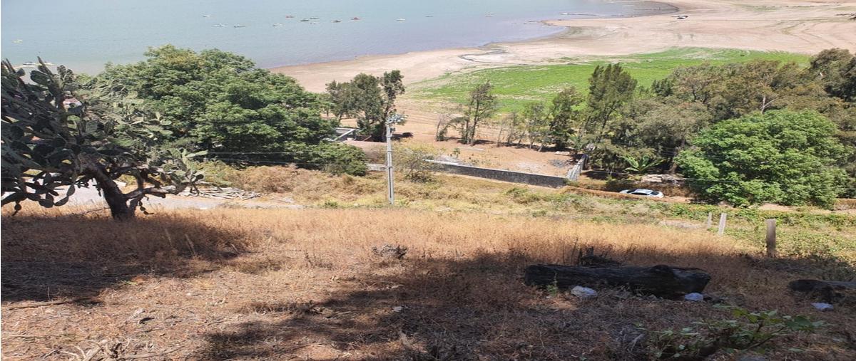 Foto de terreno habitacional en venta en  , la peña, valle de bravo, méxico, 0 No. 05