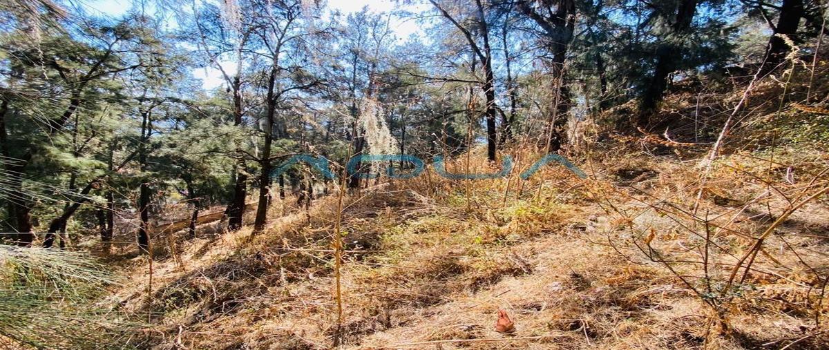 Foto de terreno habitacional en venta en  , la peña, valle de bravo, méxico, 0 No. 03