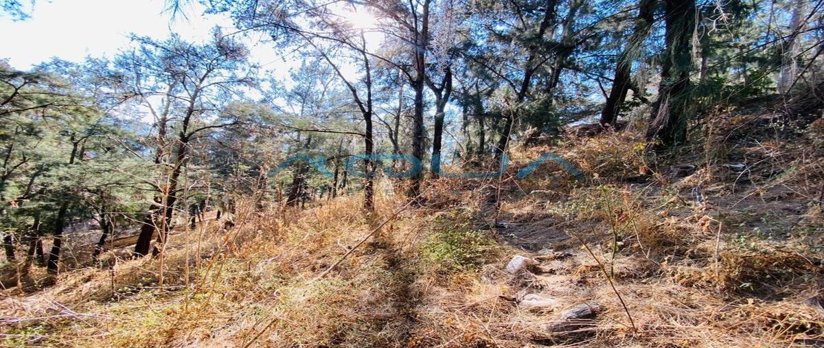 Foto de terreno habitacional en venta en  , la peña, valle de bravo, méxico, 0 No. 04