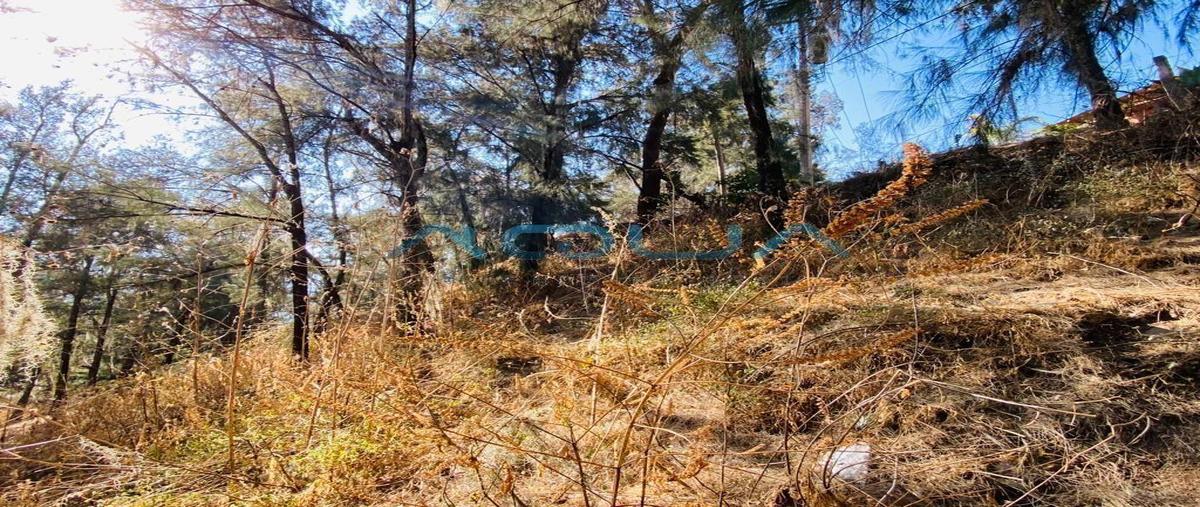 Foto de terreno habitacional en venta en  , la peña, valle de bravo, méxico, 0 No. 05
