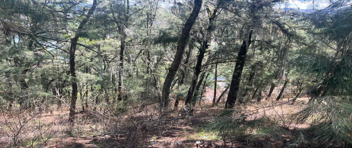 Foto de terreno habitacional en venta en  , la peña, valle de bravo, méxico, 0 No. 03