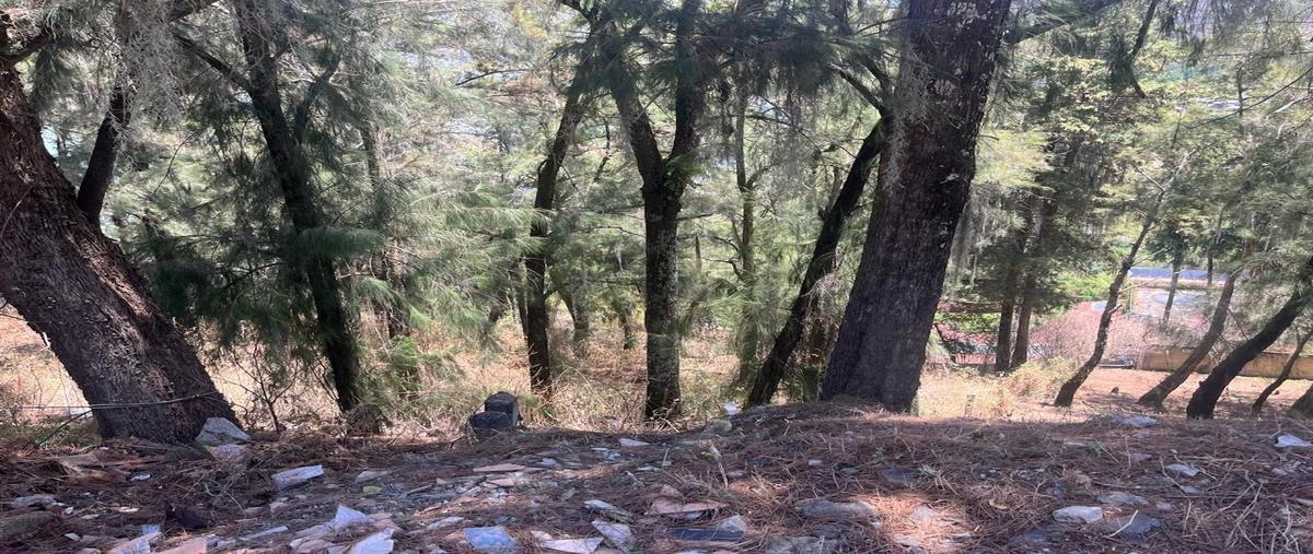 Foto de terreno habitacional en venta en  , la peña, valle de bravo, méxico, 0 No. 05