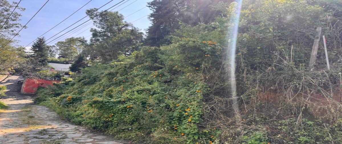 Foto de terreno habitacional en venta en  , la peña, valle de bravo, méxico, 0 No. 03