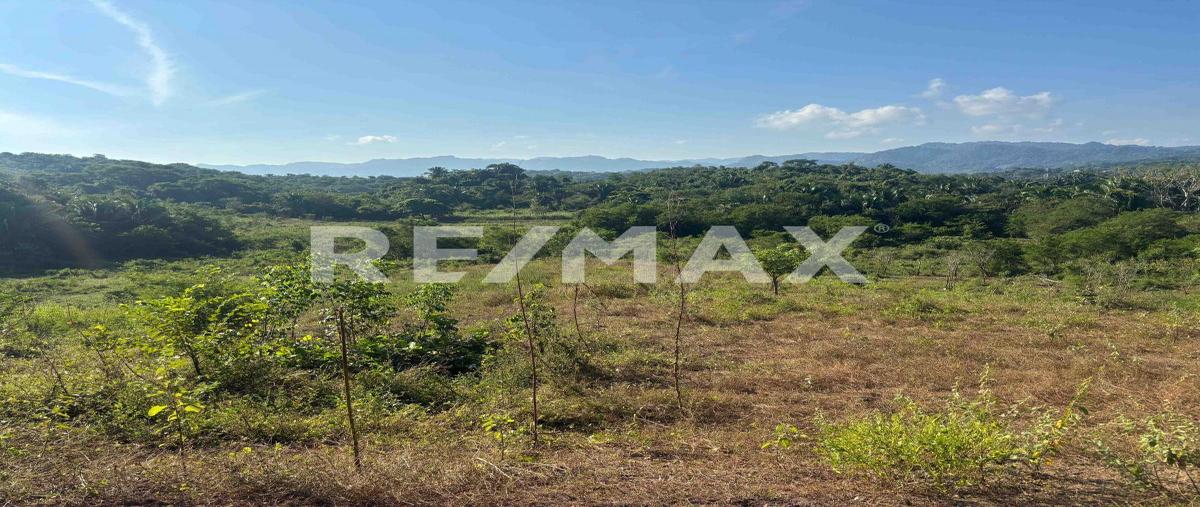 Foto de terreno habitacional en venta en la peñita de jaltemba , la peñita de jaltemba centro, compostela, nayarit, 0 No. 03