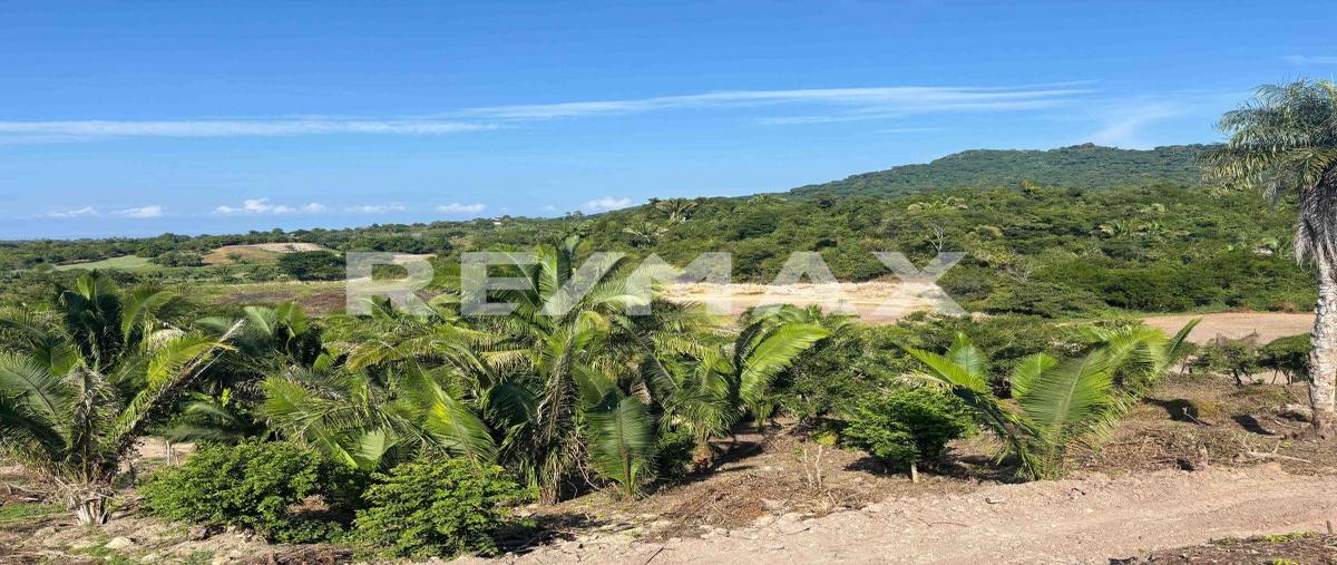 Foto de terreno habitacional en venta en la peñita de jaltemba , la peñita de jaltemba centro, compostela, nayarit, 0 No. 05