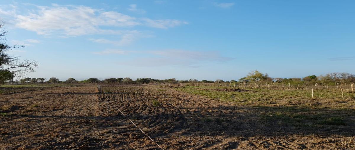 Foto de terreno habitacional en venta en la pesca , la pesca, soto la marina, tamaulipas, 25285587 No. 05