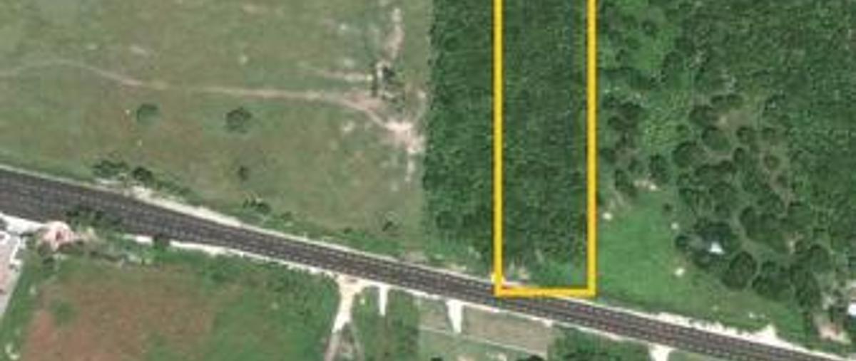 Foto de casa en venta en  , la pesca, soto la marina, tamaulipas, 11736695 No. 03