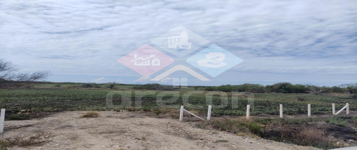 Foto de terreno habitacional en venta en  , la pesca, soto la marina, tamaulipas, 0 No. 04