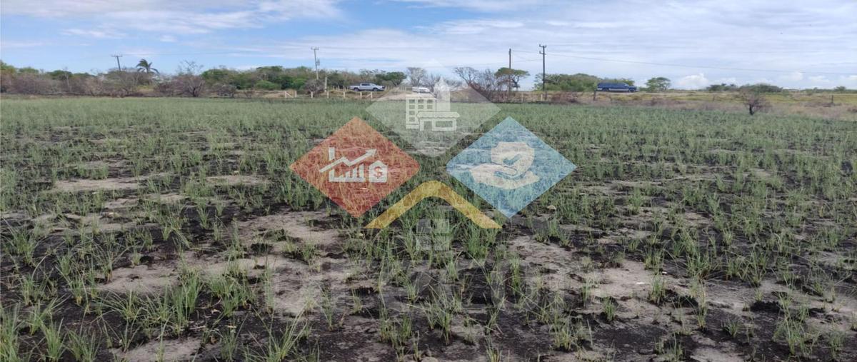 Foto de terreno habitacional en venta en  , la pesca, soto la marina, tamaulipas, 0 No. 05