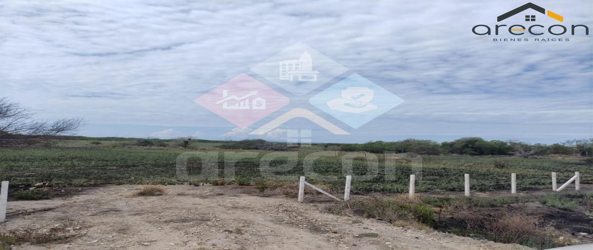 Foto de terreno habitacional en venta en  , la pesca, soto la marina, tamaulipas, 0 No. 04