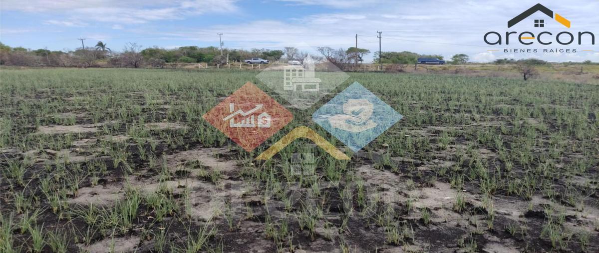 Foto de terreno habitacional en venta en  , la pesca, soto la marina, tamaulipas, 0 No. 05