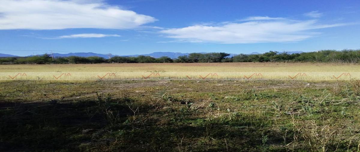 Foto de terreno industrial en , la petaca, linares, nuevo león, 26959975 foto 04 Foto de terreno industrial en venta en , la petaca, linares, nuevo león, 26959975 No. 04