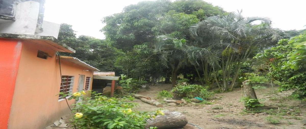 Foto de rancho en venta en  , la piedra, alvarado, veracruz de ignacio de la llave, 0 No. 04