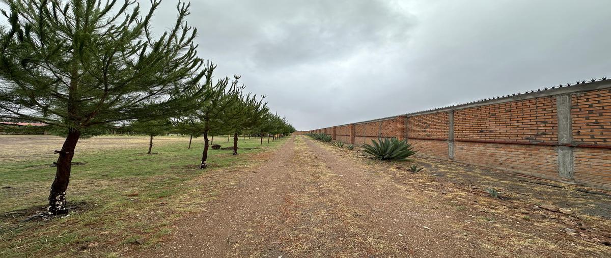 Foto de casa en venta en  , la pila, san luis potosí, san luis potosí, 0 No. 03
