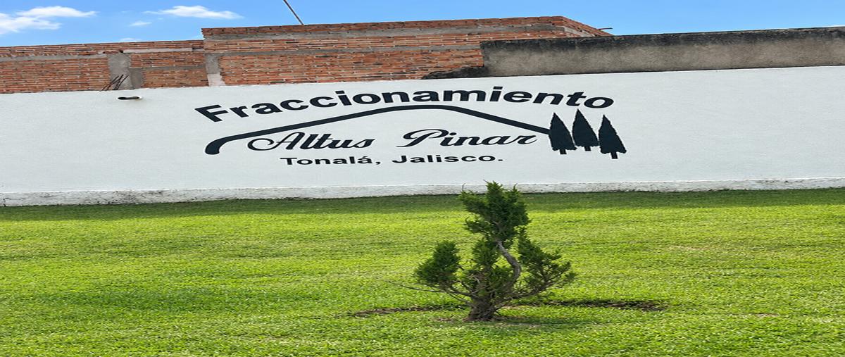 Foto de departamento en renta en  , la pila, tonalá, jalisco, 0 No. 05