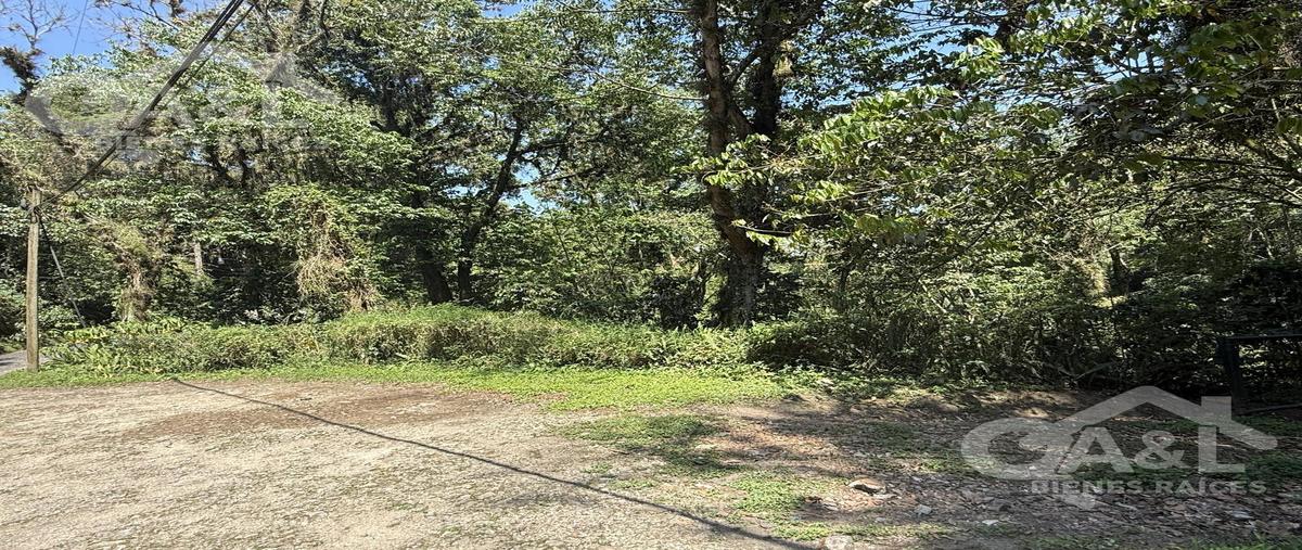 Foto de terreno habitacional en venta en  , la pitaya, coatepec, veracruz de ignacio de la llave, 0 No. 03