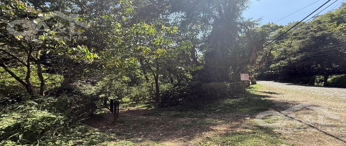 Foto de terreno habitacional en venta en  , la pitaya, coatepec, veracruz de ignacio de la llave, 0 No. 04