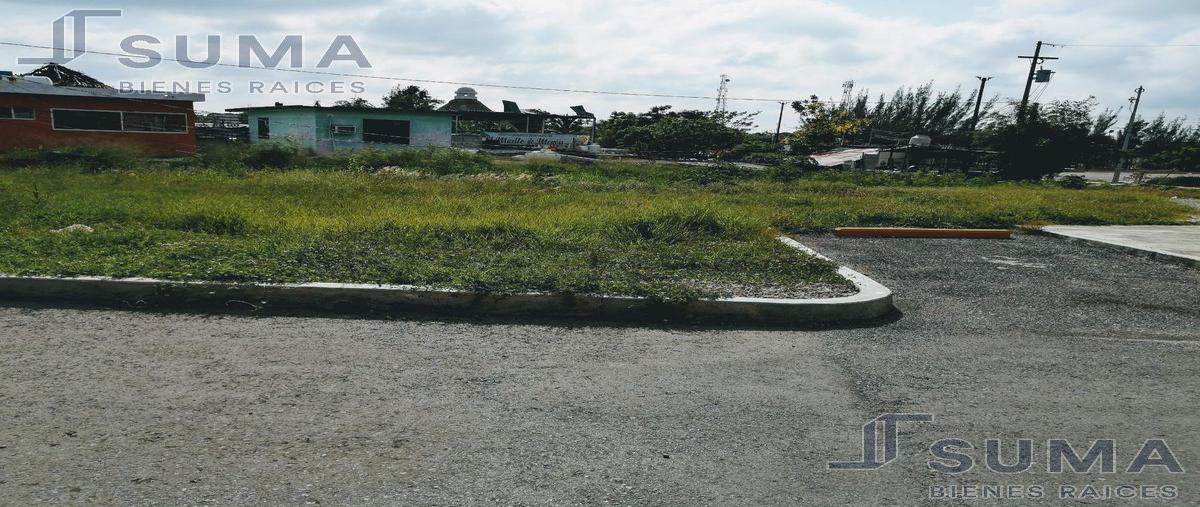 Foto de terreno habitacional en renta en  , la potosina, altamira, tamaulipas, 18509270 No. 04